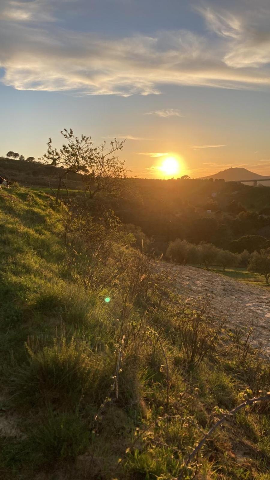 Case Vacanza Villa Bentivoglio Piazza Armerina Luaran gambar